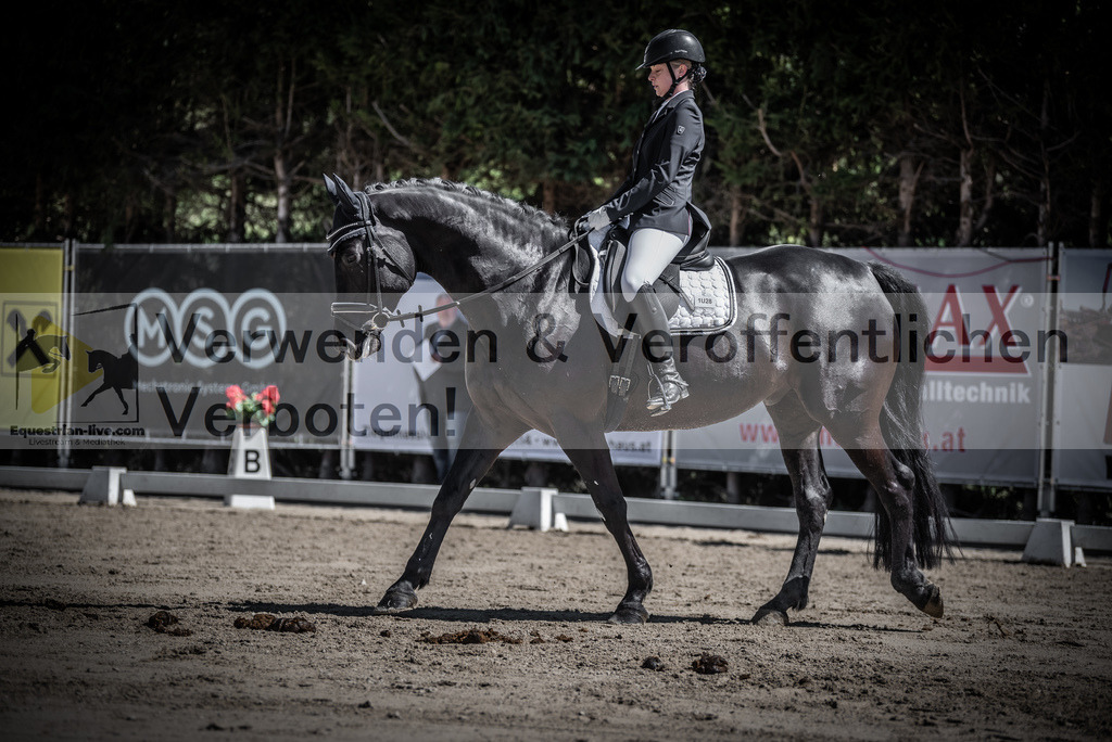 DSC_0251 | equestrian-live-com