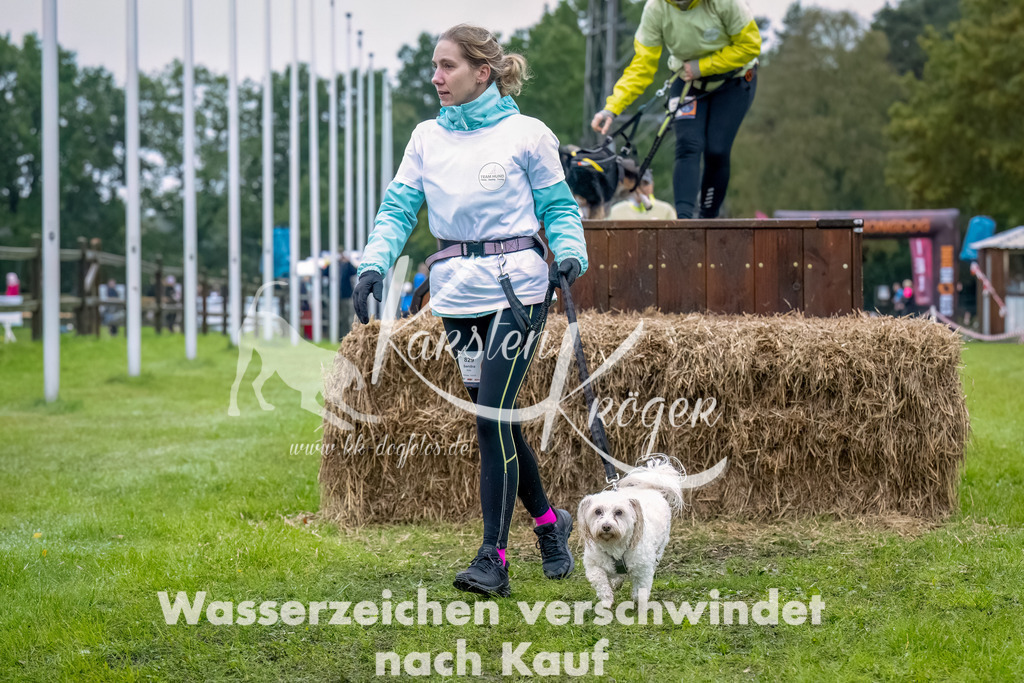 1026--15 | kk-dogfotos