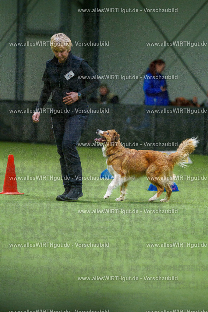 7R505482 | Professionelle Tierfotografie in Mönchengladbach von Daniel Wirth (allesWIRTHgut). Liebevolle & natürliche Bilder von Hunden & Katzen für unvergessliche Erinnerungen.