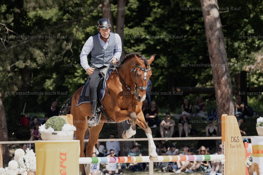 WE_SP_Stoib_339_PI2025_1502 | Pferd International München 2025