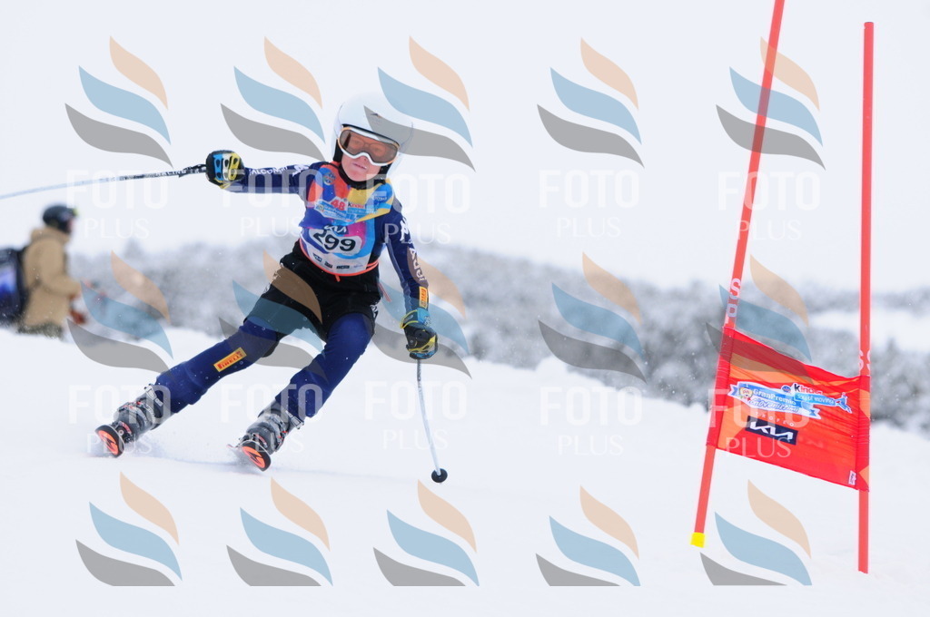 C3163 | holidayphoto