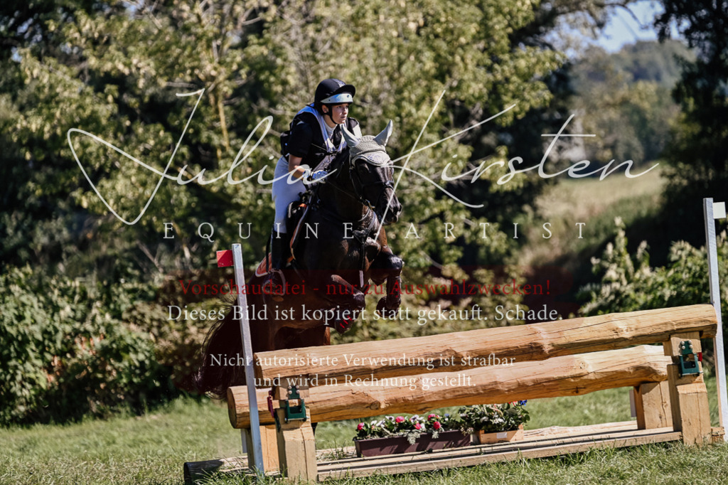 DSC_1810 | Pferde- und Turnierfotografie in Westsachsen. Pferdeportraits, Auftragszeichnungen und intuitive Kunst.