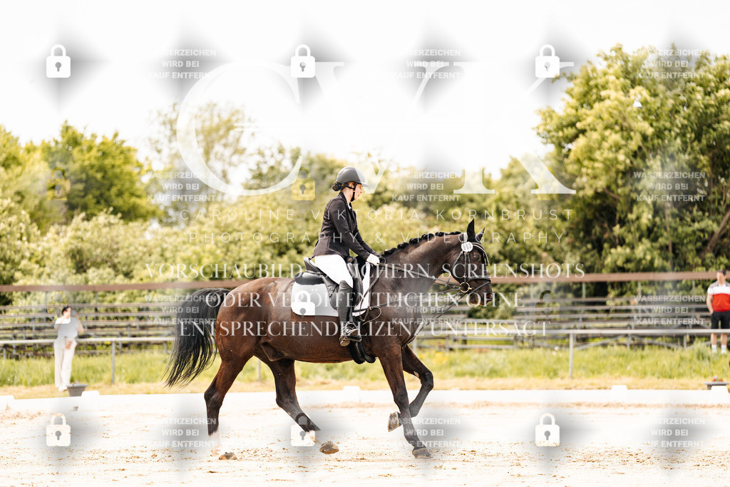 CK902697 | Turnierfotografie Pferdefotografie Trier Rheinland-Pfalz Pferdesport Reitsport Tierfotografie Sportfotografie Pferdevideo Pferdevideografie Equestrianvideography equestrianphotography  - Realisiert mit Pictrs.com