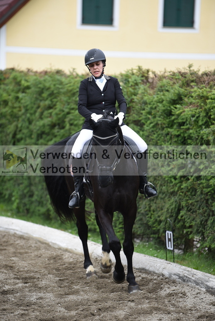 DSC_4329 | equestrian-live-com