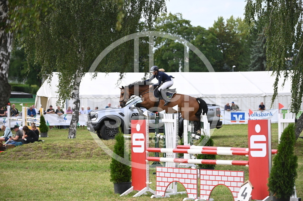 DSC_3344 | sattelsport - Realisiert mit Pictrs.com