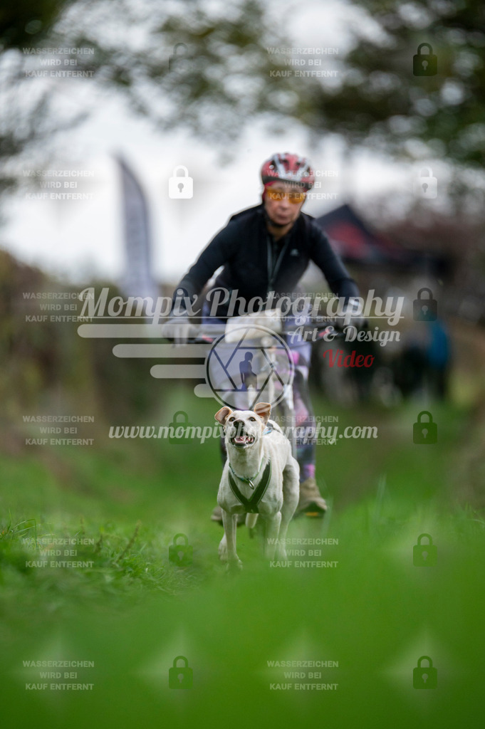 TSB_2023_E8_Bike-58 | PayLife