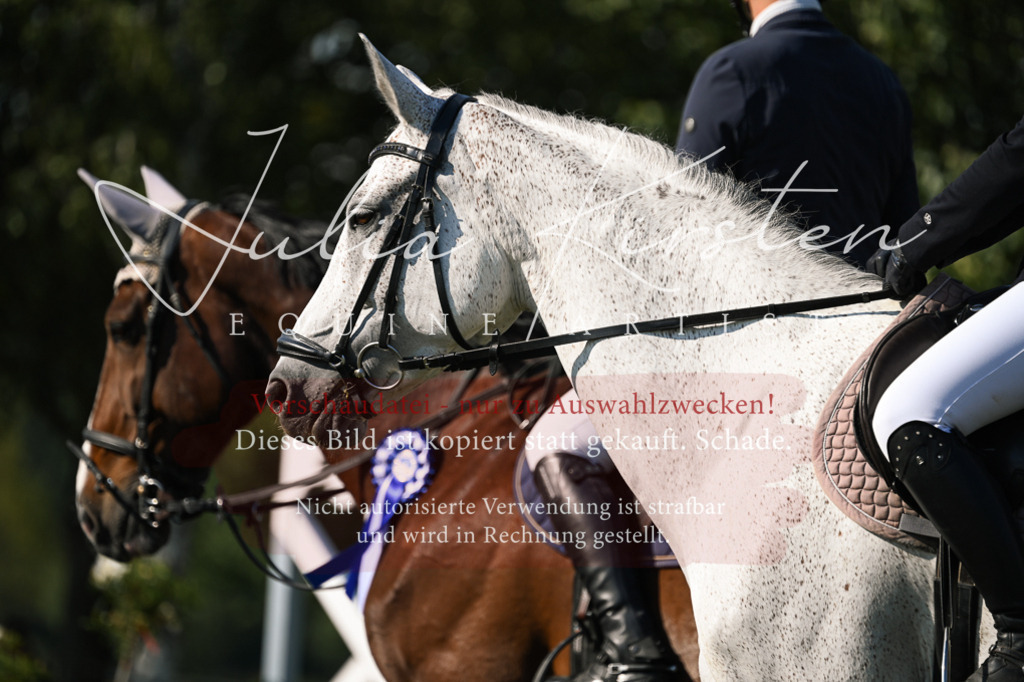 DSC_1537 | Pferde- und Turnierfotografie in Westsachsen. Pferdeportraits, Auftragszeichnungen und intuitive Kunst.