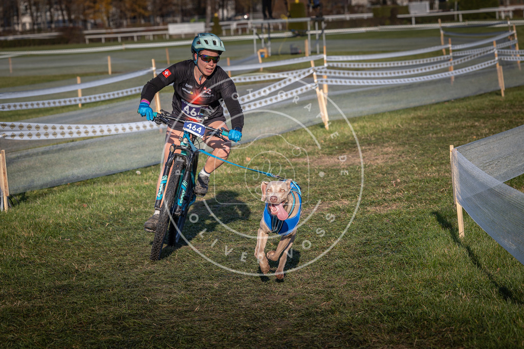 CaniXpix_0L8A4537 | Hundefotografie, Tierfotograf, Pfotenfotografie, Fotoshooting Hund, Hunde Portrait, Hundesport, Hundeportraits, Heideshooting, Hunde, Sportfotograf, Hundefotograf, Turnierhundsport, THS,  - Realisiert mit Pictrs.com
