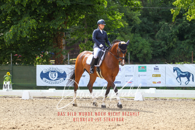 DKP42006 | Turniersportfotografie; Pferdefotografie; Dressurfotografie