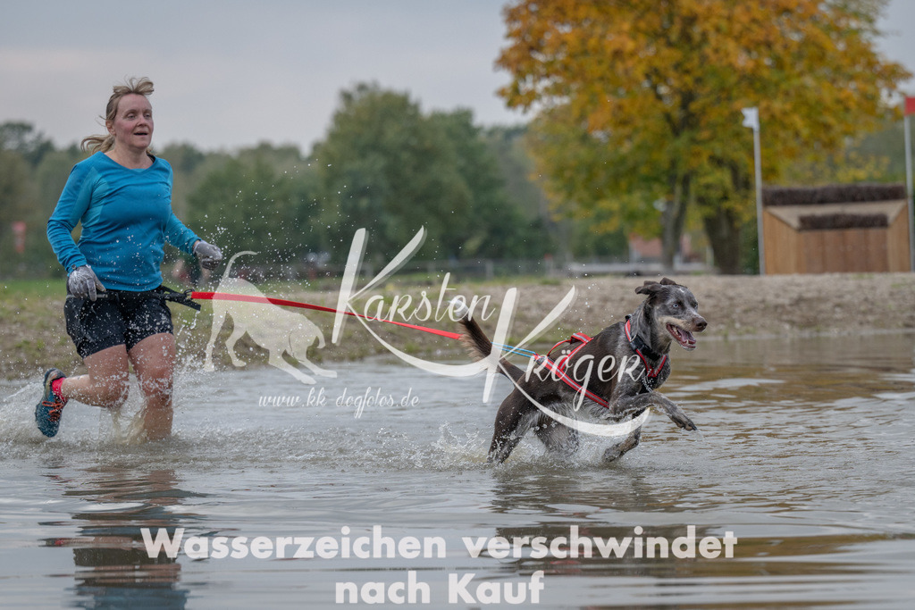 1504_ZZ92955 | kk-dogfotos