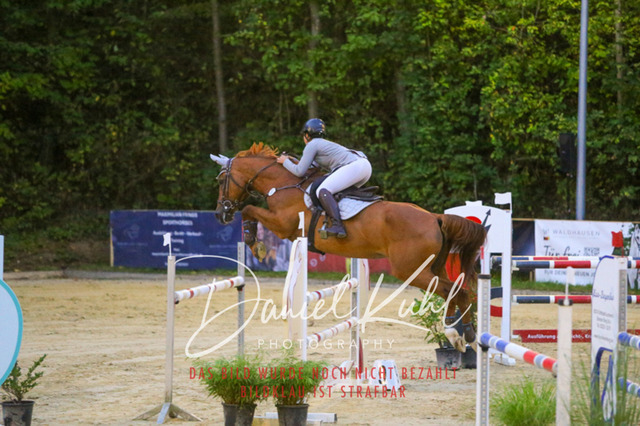 IMG_6253 | Turniersportfotografie; Pferdefotografie; Dressurfotografie