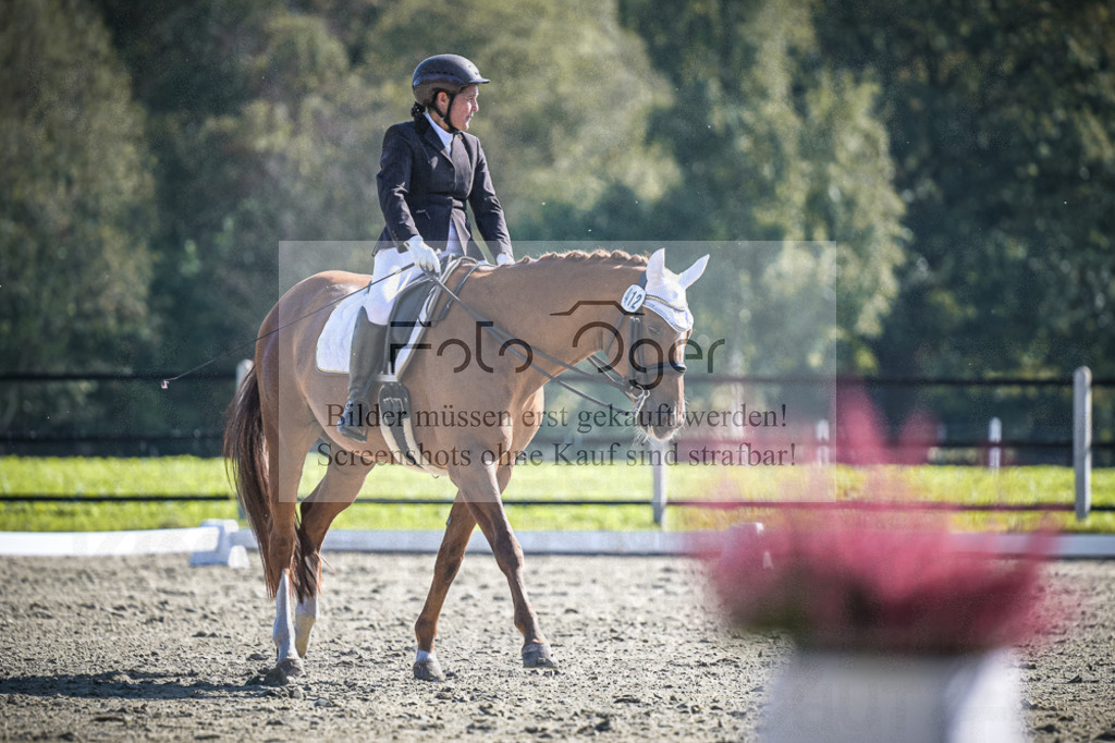 DOS_1790 | Entdecke hochwertige Reitturnierfotos von Foto Oger. Professionell, emotional und authentisch – jetzt Lieblingsmomente im Shop bestellen.Deutschlandweite Turnierfotografie. - Realisiert mit Pictrs.com