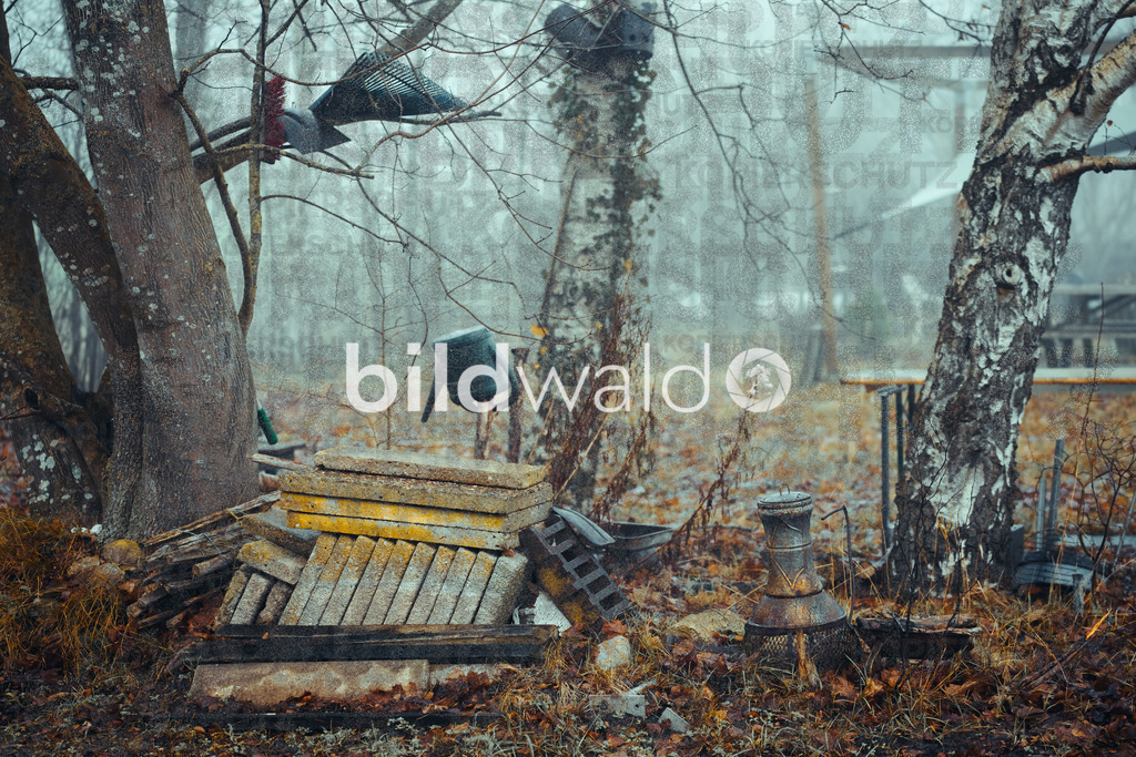 christmas tree elsfleth crazy mad thingy-4113 | BILDWALD - eine Auswahl an Bildern von Thomas Perrotton zum bestellen und genießen. Alle Bilder von Thomas Perrotton - Alle Bilder mit einer SONY Kamera gemacht - SONY TAMRON SIGMA PHOTOSHOP LIGHTROOM BILDWALD Online kaufen Bilderwald Wandbilder - Realisiert mit Pictrs.com