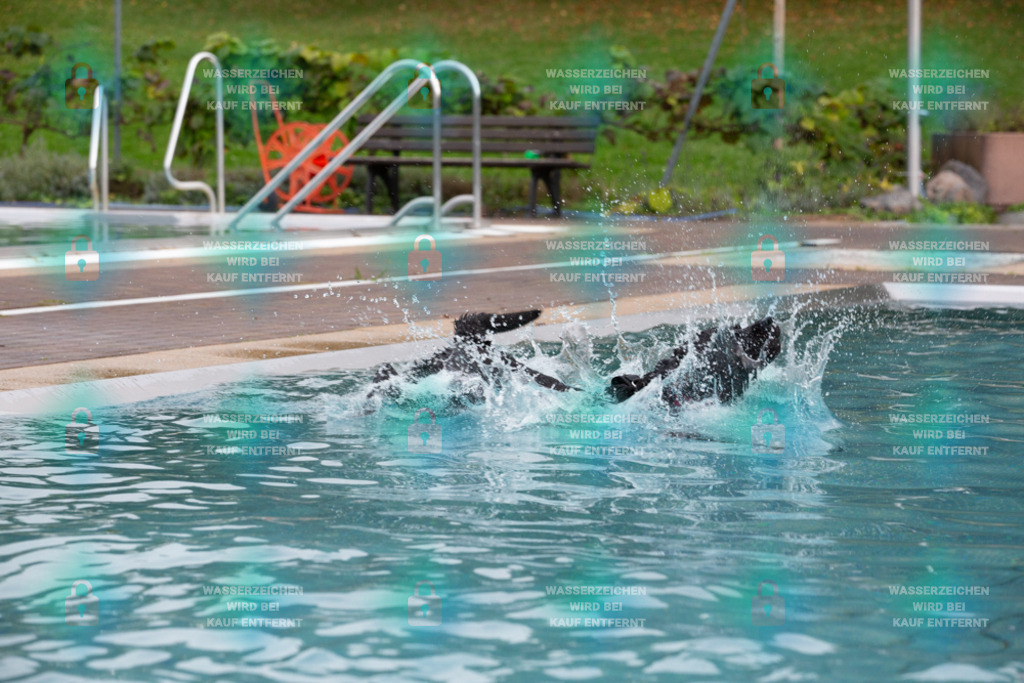 _HP_7527_1000o | HetPix, HetPix Fotodesign, Fotografie, Fotodesign, Webshop, Sportfotografie, Portraitfotografie, Onlineshop, Sportfotografie, Polch, Motorsportfotografie, Eventfotografie