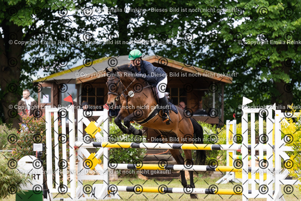 CL5A9040 | Emilia Reinking Fotografie - Realisiert mit Pictrs.com