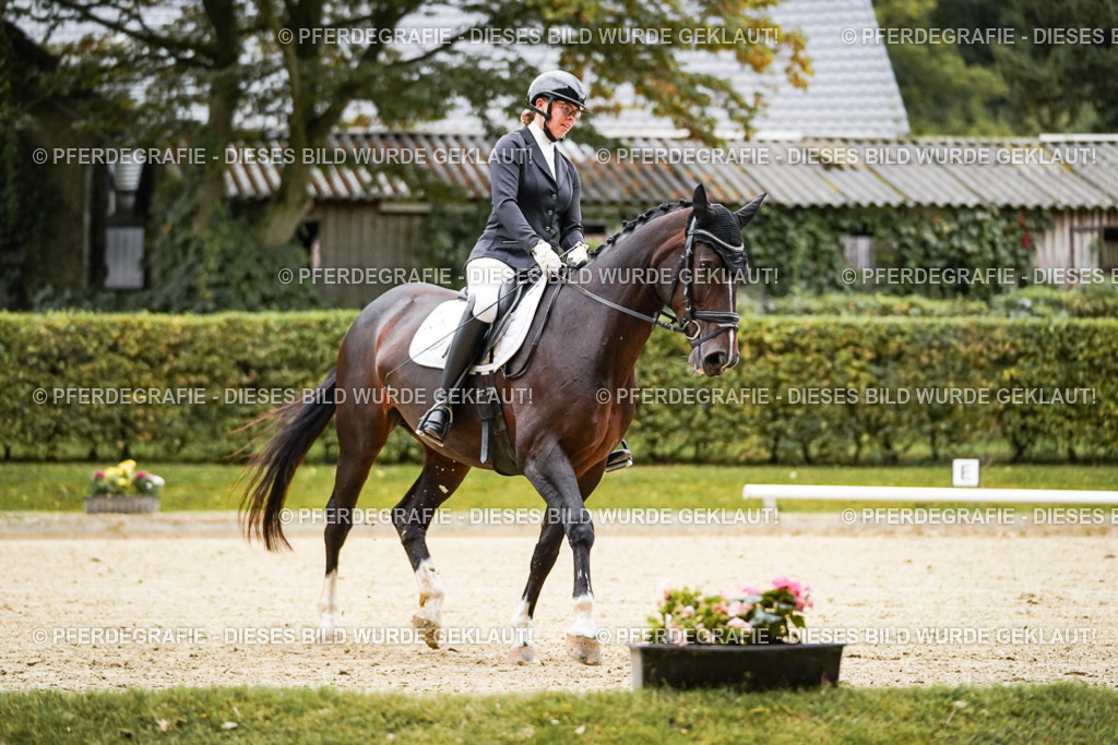 DSC06751 | Pferdegrafie