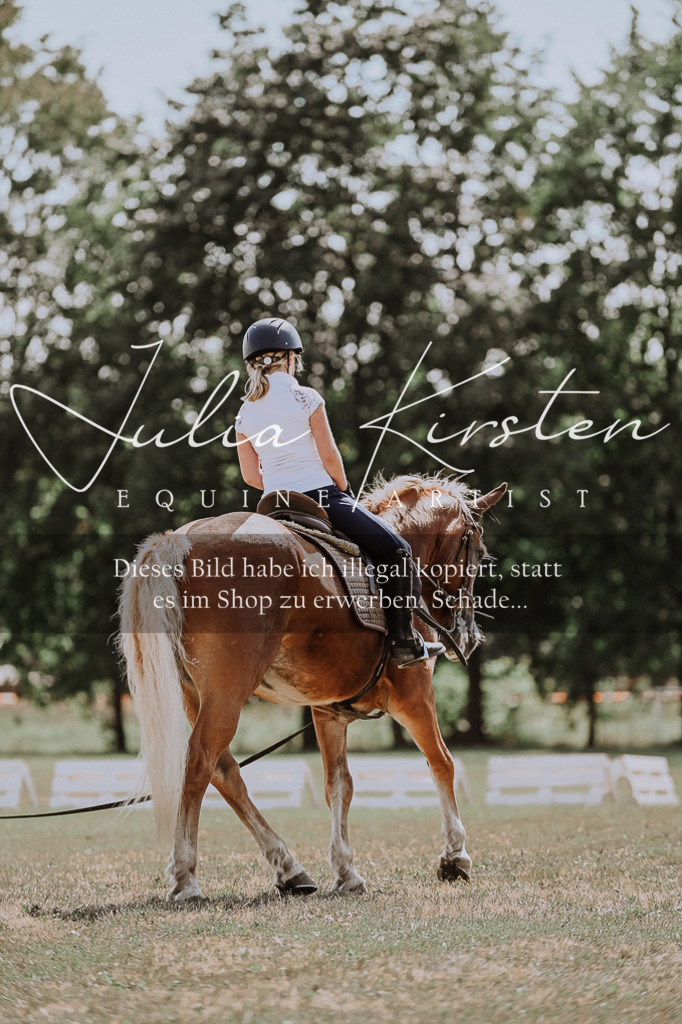 DSC_7823 | Pferde- und Turnierfotografie in Westsachsen. Pferdeportraits, Auftragszeichnungen und intuitive Kunst.