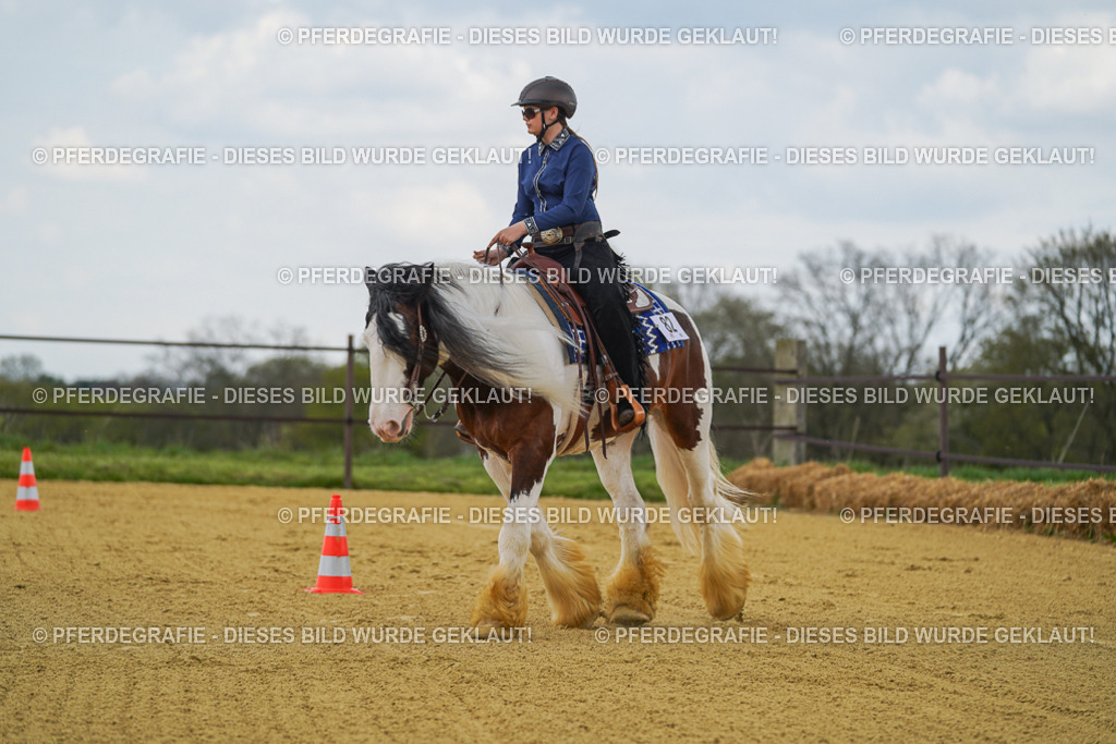 DSC05972 | Pferdegrafie