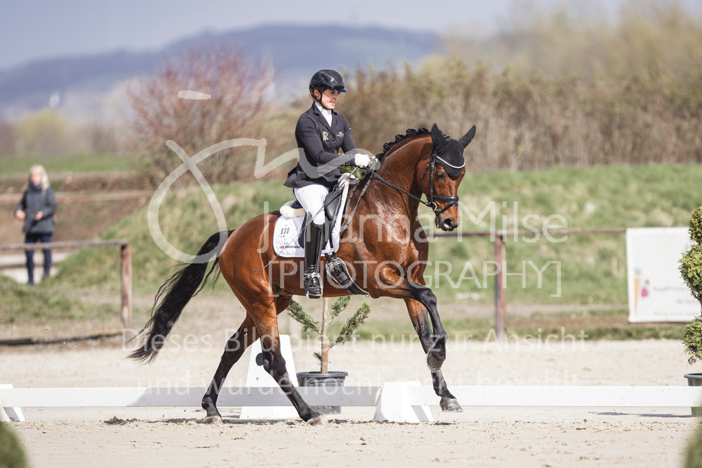 260331_Fruehlingsfest_Dressurpf-L-240 | Deine schönsten Turniermomente als professionelle Fotos! Entdecke hochwertige Pferdesport-Fotografie im Online-Shop. Jetzt Fotos finden & bestellen!