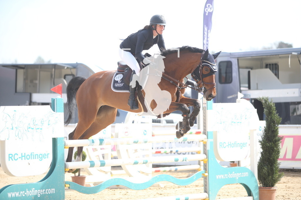 PP013791 | Willkommen bei Brunnmayr - Design & Fotografie – Ihrem Spezialisten für Reitturniere und Pferdeveranstaltungen in Oberösterreich, Salzburg und Bayern! Seit über 17 Jahren sind wir leidenschaftlich dabei.