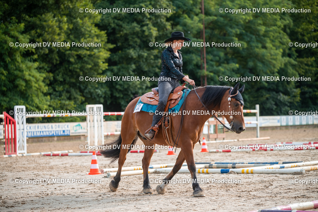 ZS3_9132 | dv-media-shop - Realisiert mit Pictrs.com