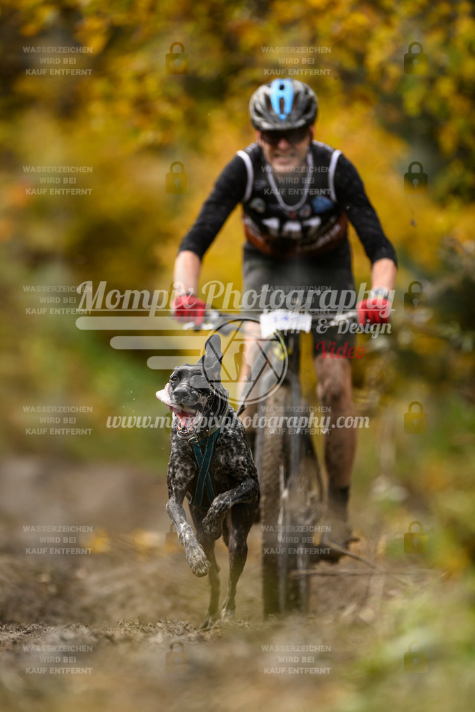 MompixPhotography_ICF_WC_2024_SA_Bike_-167 | PayLife