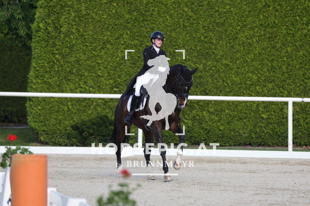 0P6A3783 | Willkommen bei Brunnmayr - Design & Fotografie – Ihrem Spezialisten für Reitturniere und Pferdeveranstaltungen in Oberösterreich, Salzburg und Bayern! Seit über 17 Jahren sind wir leidenschaftlich dabei.