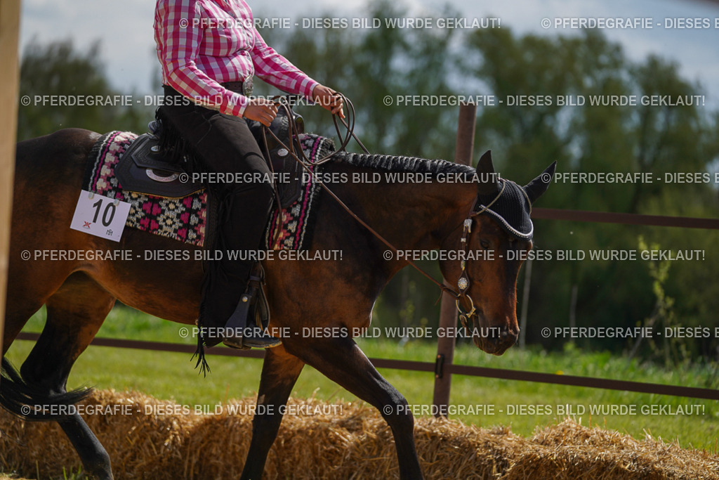 DSC05153 | Pferdegrafie