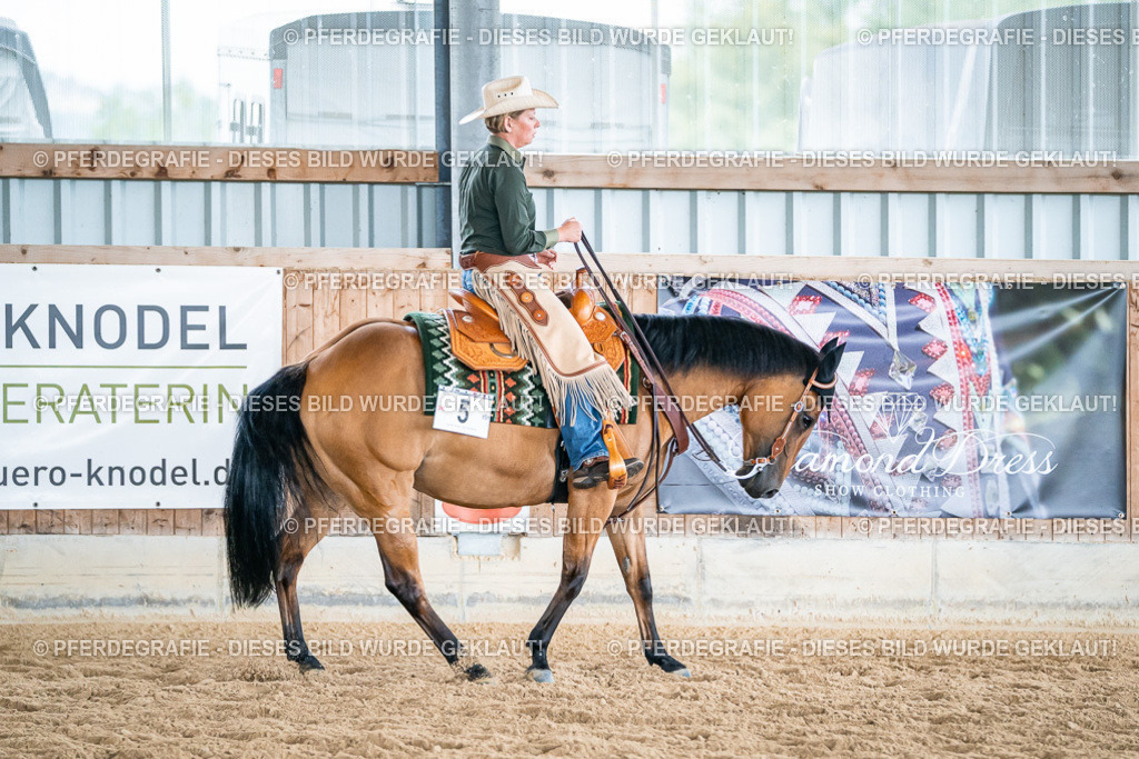 DSC03664 | Pferdegrafie