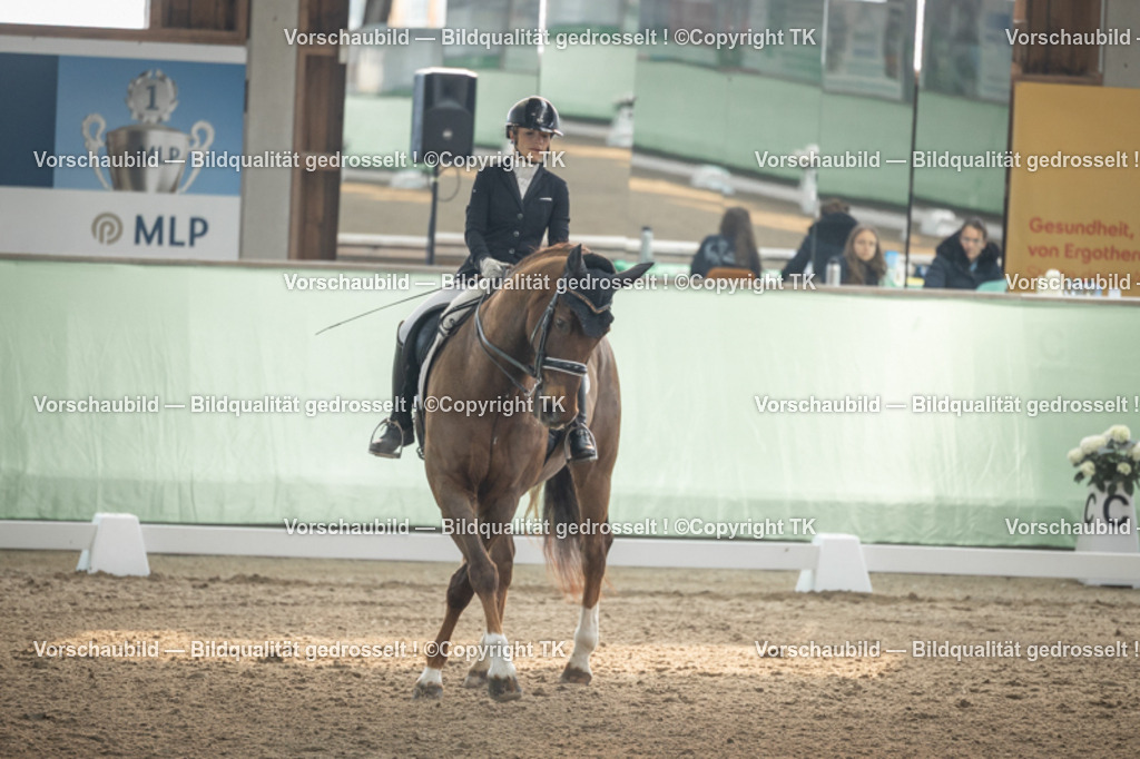 _D5A4192 | Emotionale Pferde- & People-Fotografie rund um Heidelberg, Leimen & Umgebung. Natürliche Fotos von Pferd, Mensch & Familie. Jetzt Termin sichern!