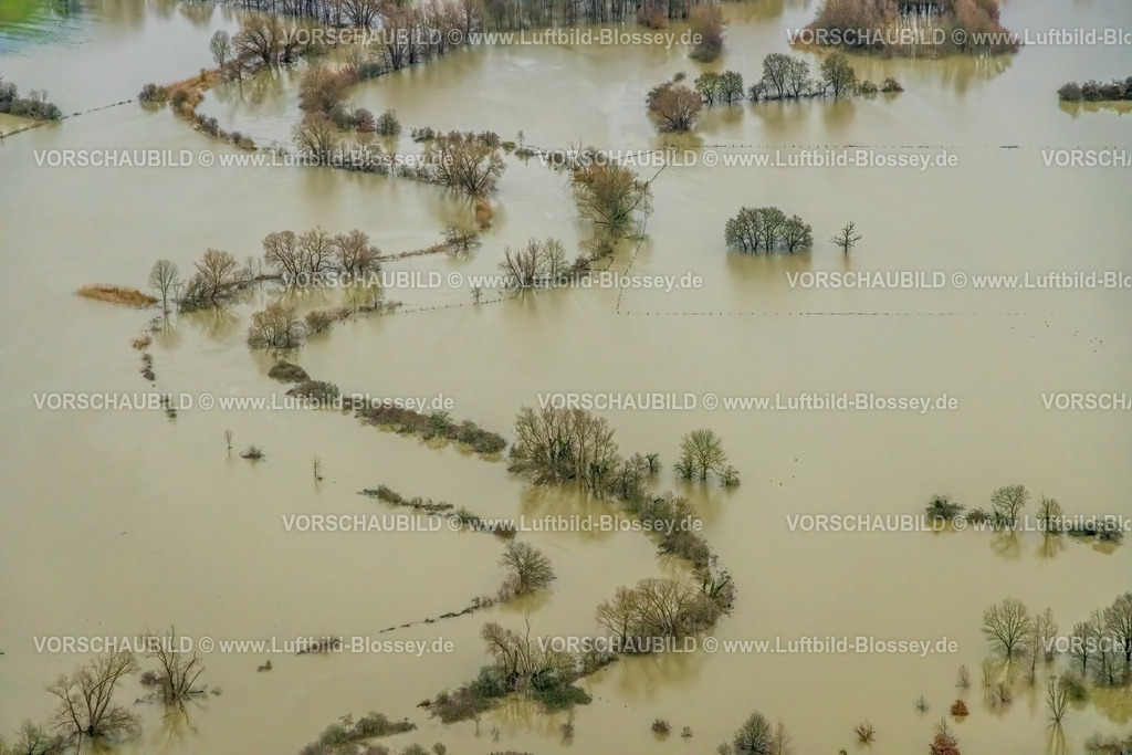 Bergkamen231204731Lippe-Bearbeitet | Luftbild vom Hochwasser der Lippe, Weihnachtshochwasser 2023, Fluss Lippe tritt nach starken Regenfällen über die Ufer, Überschwemmungsgebiet Naturschutzgebiet Lippeaue von Wethmar bis Lünen, In den Kämpen, Flussmäander, Bäume im Wasser, Beckinghausen, Lünen, Ruhrgebiet, Nordrhein-Westfalen, Deutschland