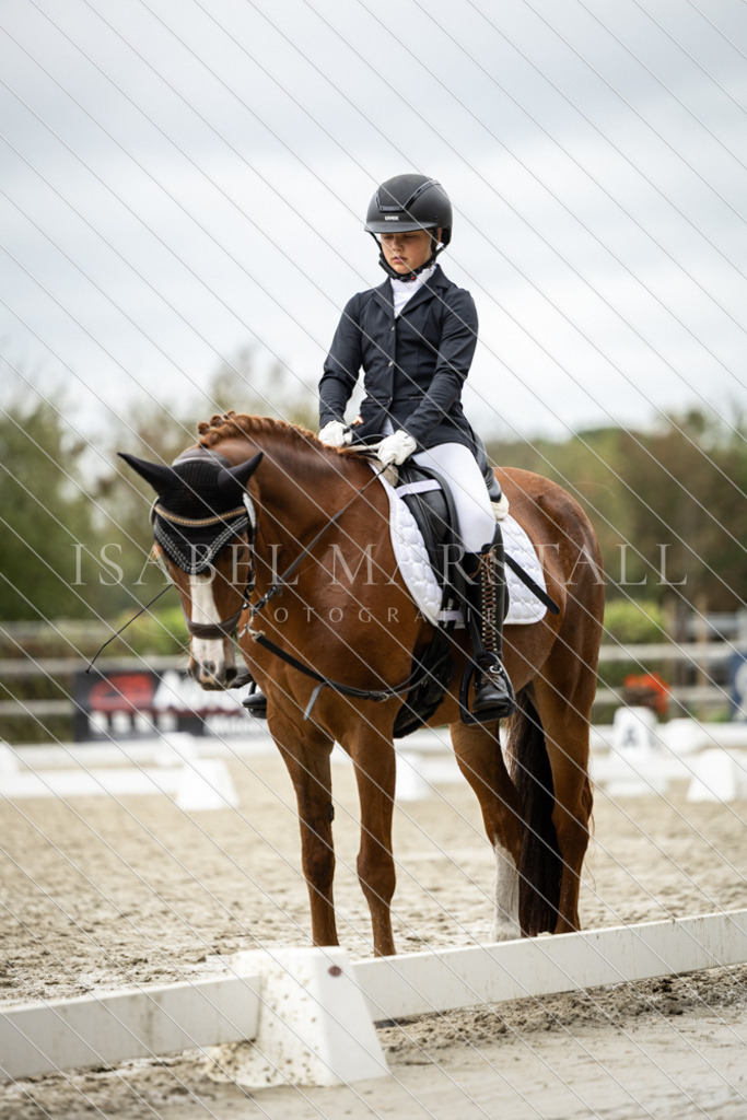 DK5A8177 | Isabel Marstall Fotografie - Realisiert mit Pictrs.com