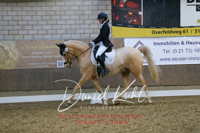 IMG_2778 | Turnierfotos kaufen im Webshop von Daniel Kuhl Photography – entdecke professionelle Reitsportfotos aus Turnieren & Events. Hochwertige Turnierbilder online bestellen & sichern. Jetzt Fotos von Reitsportturnieren kaufen!
