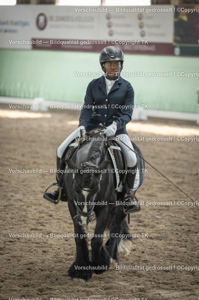 _D5A5506 | Emotionale Pferde- & People-Fotografie rund um Heidelberg, Leimen & Umgebung. Natürliche Fotos von Pferd, Mensch & Familie. Jetzt Termin sichern!