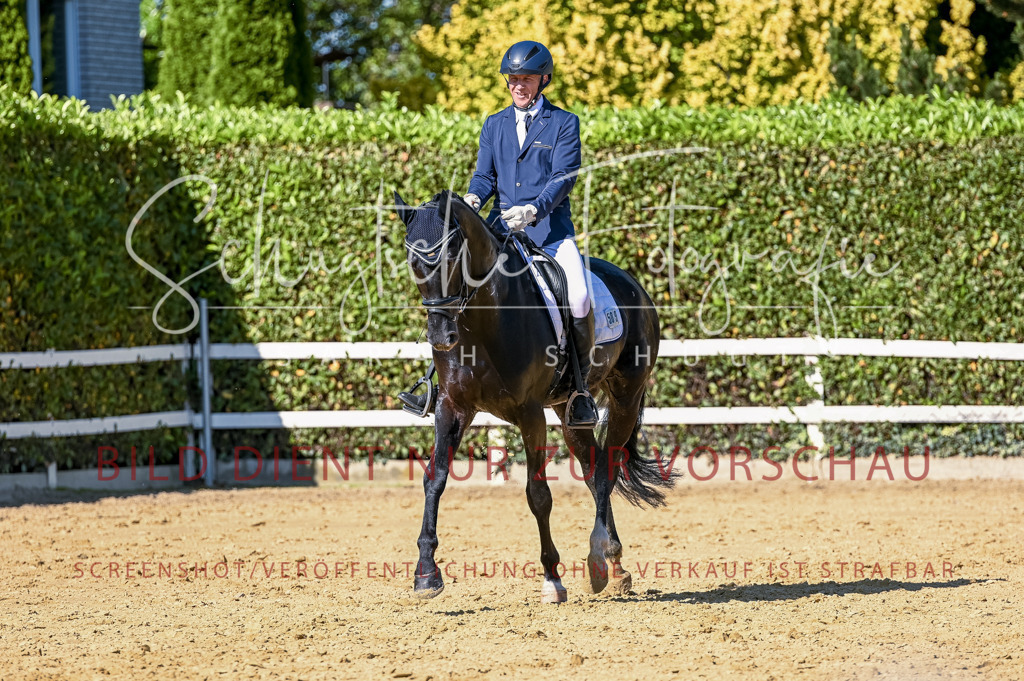 Schugtsche-Aluta25-50.Dressurpferdeprf.L-245 | Schugtsche Fotografie - Realisiert mit Pictrs.com