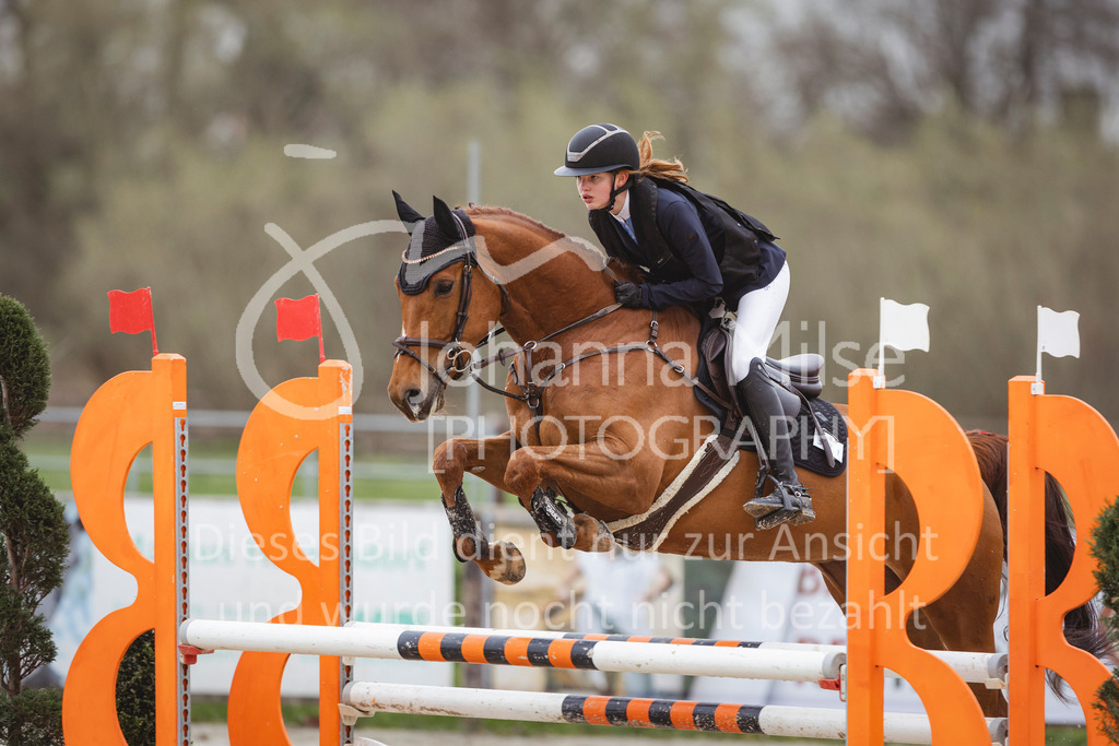 240330_Fruehlingsfest_Stil-A2-1-658 | Deine schönsten Turniermomente als professionelle Fotos! Entdecke hochwertige Pferdesport-Fotografie im Online-Shop. Jetzt Fotos finden & bestellen!