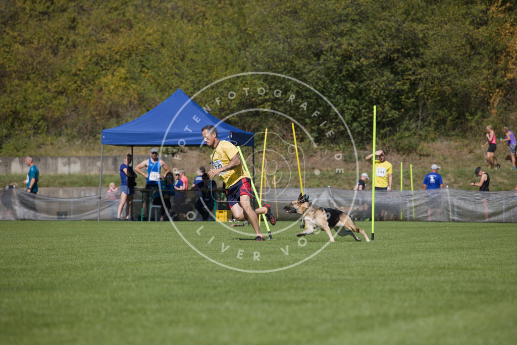 0L8A6160 | Hundefotografie, Tierfotograf, Pfotenfotografie, Fotoshooting Hund, Hunde Portrait, Hundesport, Hundeportraits, Heideshooting, Hunde, Sportfotograf, Hundefotograf, Turnierhundsport, THS,  - Realisiert mit Pictrs.com