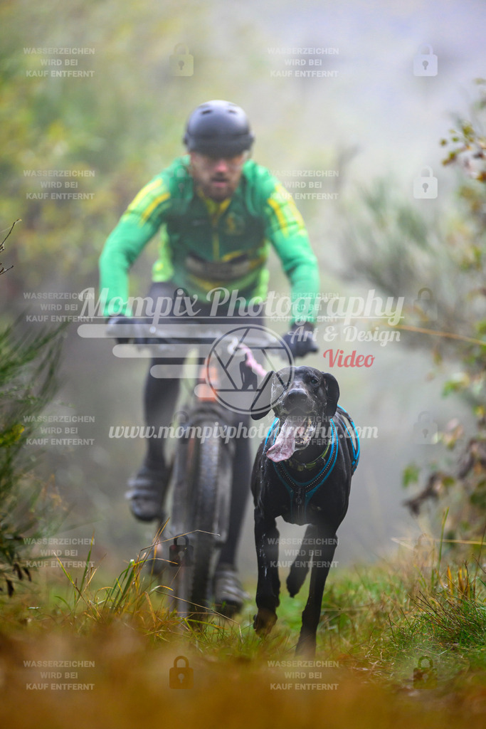MompixPhotography_20TSB_E4_Bike-85 | PayLife