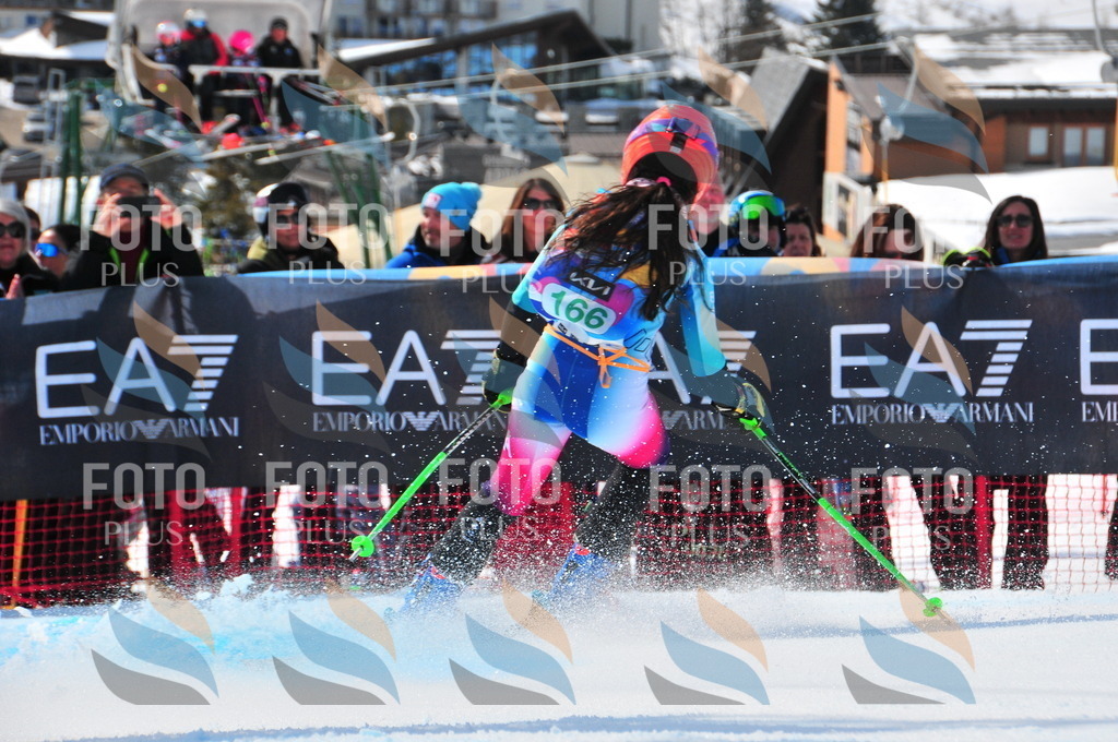 DSC_1499 | holidayphoto