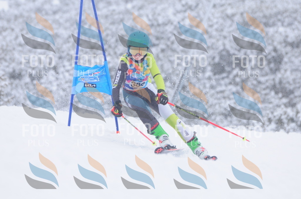 C4074 | holidayphoto