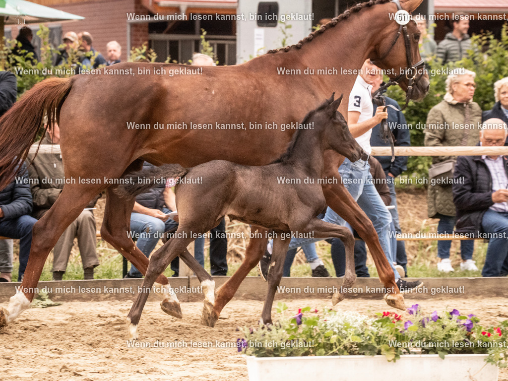 A10I5089 | photographylinaismer - Realisiert mit Pictrs.com