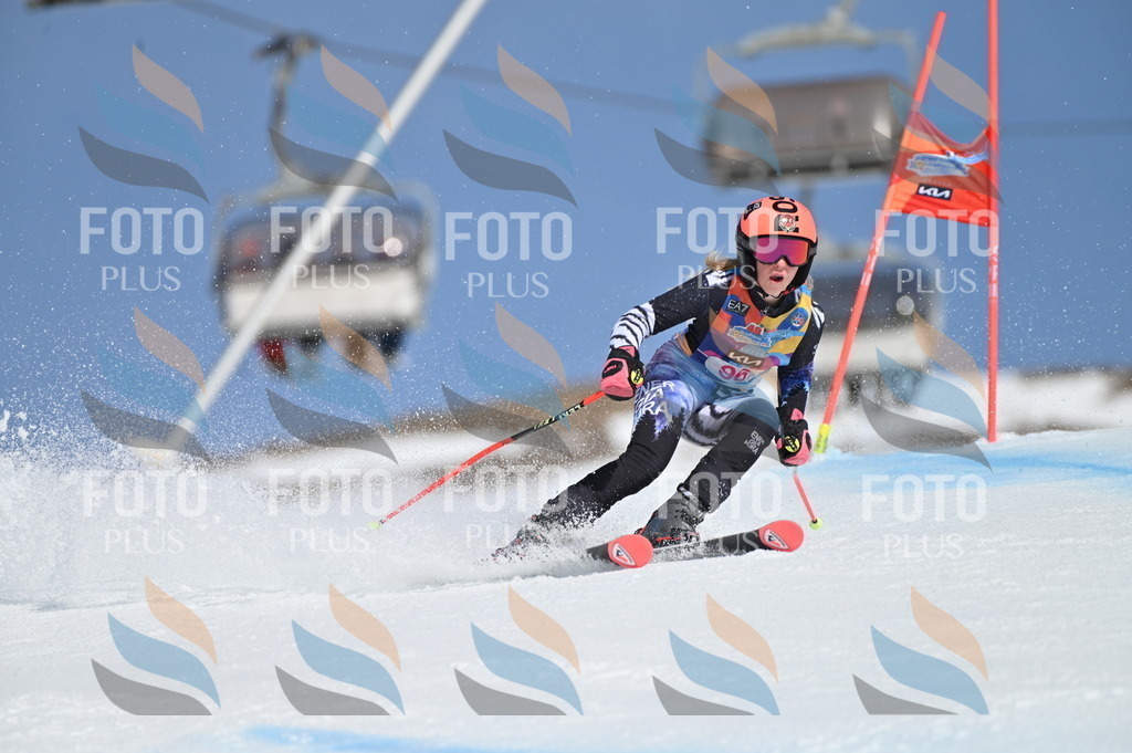 BGV_9371 | holidayphoto