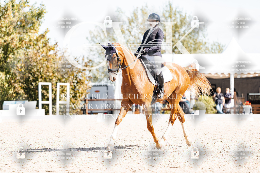 CK903145 | Turnierfotografie Pferdefotografie Trier Rheinland-Pfalz Pferdesport Reitsport Tierfotografie Sportfotografie Pferdevideo Pferdevideografie Equestrianvideography equestrianphotography  - Realisiert mit Pictrs.com