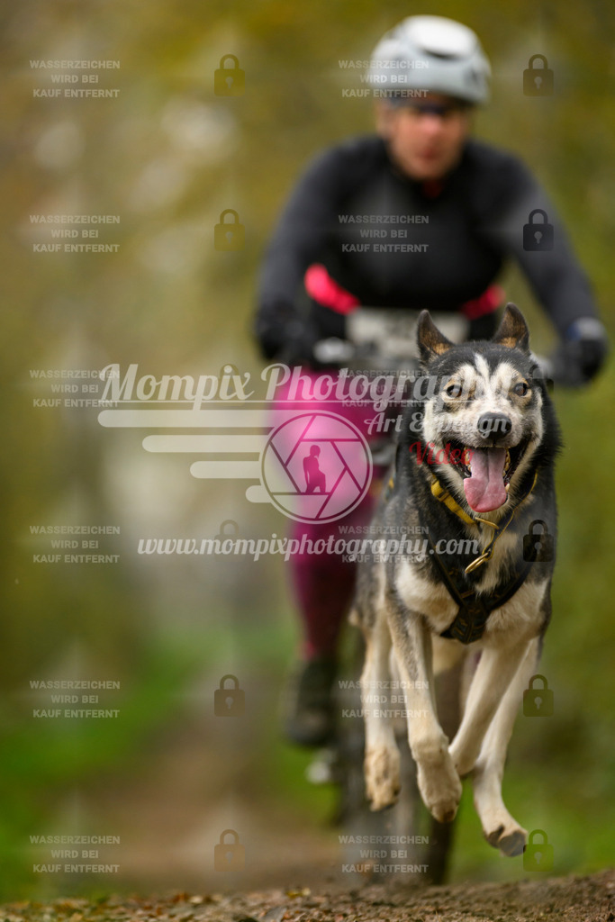 MompixPhotography_20TSB_E6_Bike-151 | mompixphotography