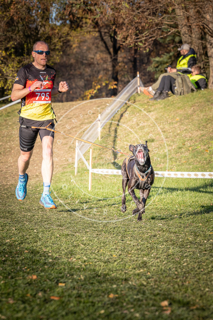 CaniXpix_0L8A0280 | Hundefotografie, Tierfotograf, Pfotenfotografie, Fotoshooting Hund, Hunde Portrait, Hundesport, Hundeportraits, Heideshooting, Hunde, Sportfotograf, Hundefotograf, Turnierhundsport, THS,  - Realisiert mit Pictrs.com