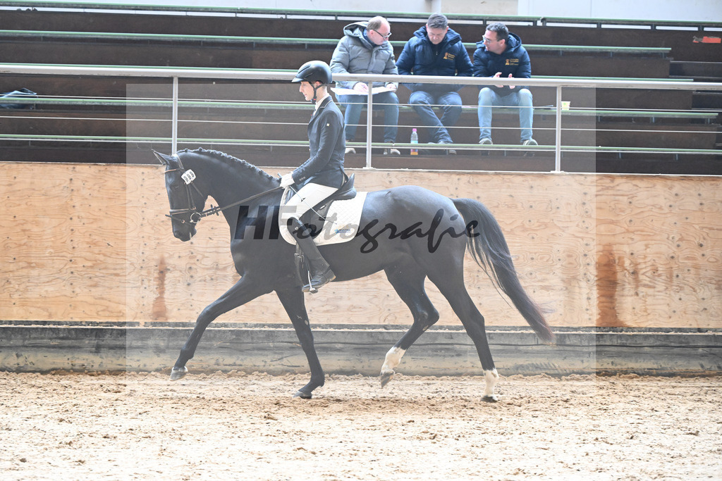 Kat-Nr. 8 Selma v. Don Royal_Eder_50250264 | hf-fotografie - Realisiert mit Pictrs.com