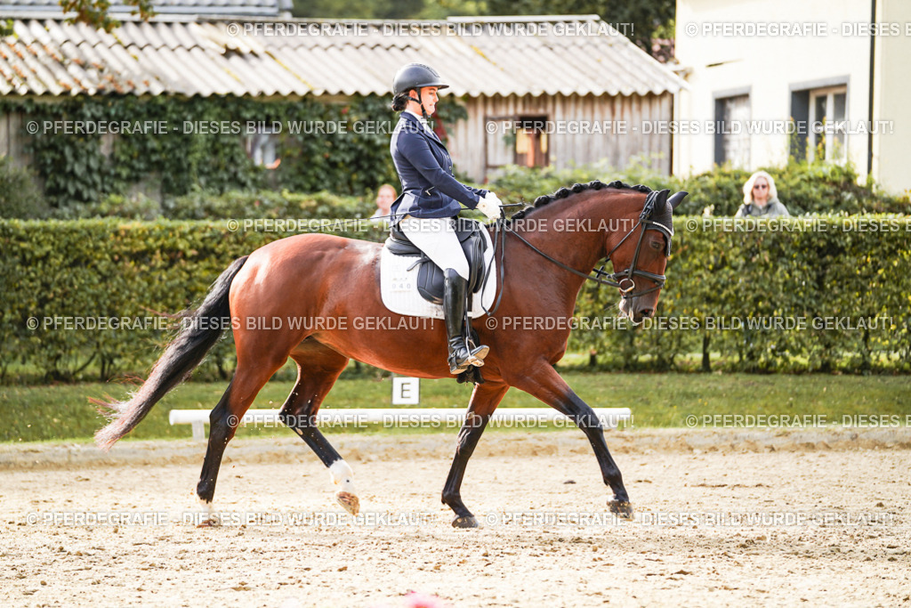 DSC09460 | Pferdegrafie