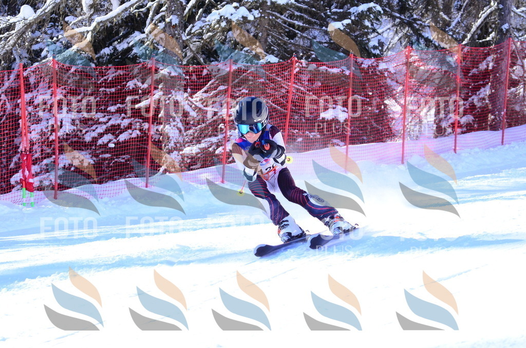 B2895 | holidayphoto