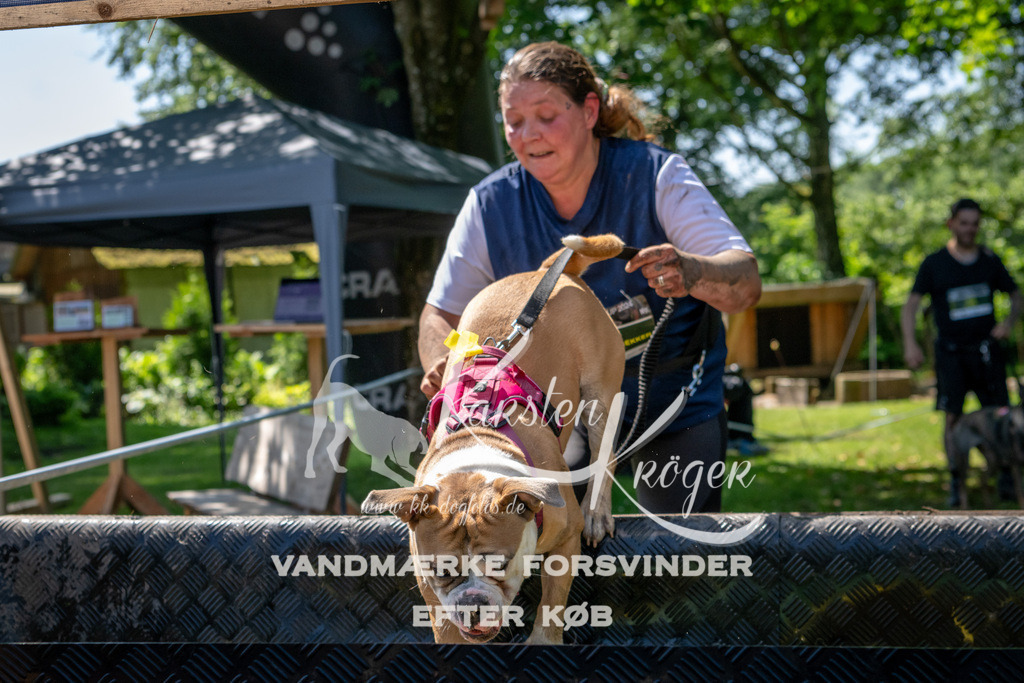 1249_ZZ92543 | kk-dogfotos