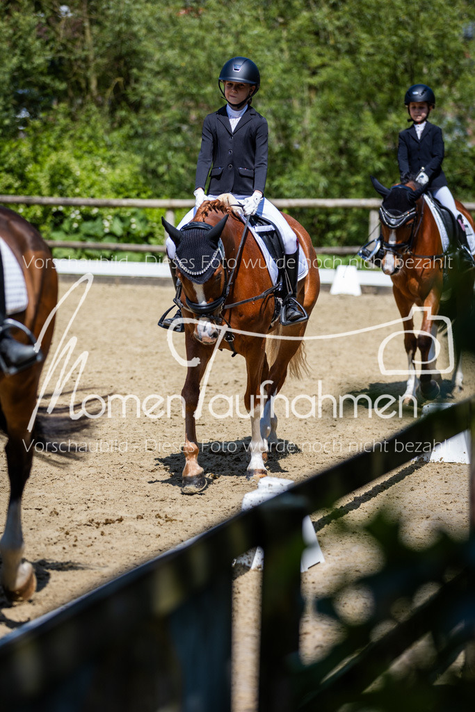 Donop24-RWB-035 | MomenTaufnahmen Pferdesportfotos